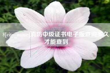 长治消防中级证书电子版查询多久才能查到
