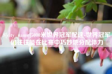长治5000米世界冠军配速-世界冠军们往往能在比赛中巧妙地分配体力