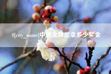 长治中国金牌能拿多少奖金
