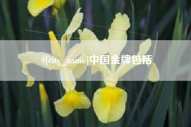 长治中国金牌包括