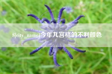 长治今年九宫格的不利颜色