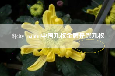 长治中国九枚金牌是哪九枚