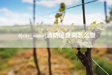 长治消防证查询怎么查