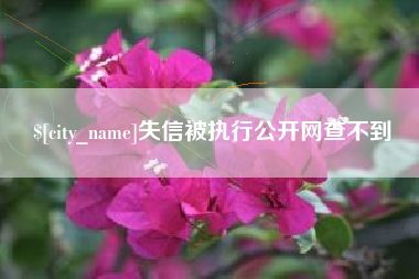 长治失信被执行公开网查不到