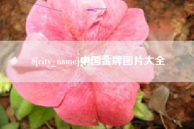 长治中国金牌图片大全