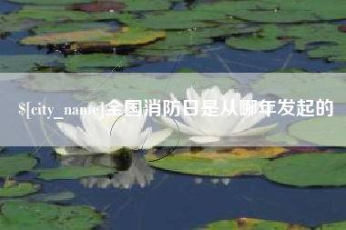 长治全国消防日是从哪年发起的