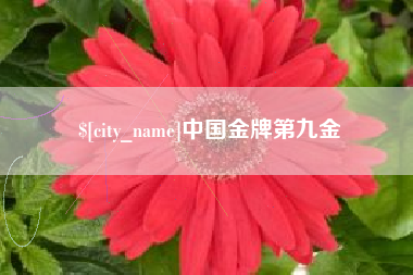 长治中国金牌第九金
