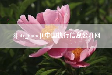 长治1.中国执行信息公开网