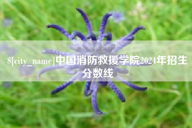 长治中国消防救援学院2024年招生分数线