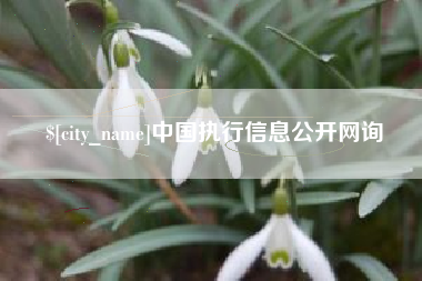 长治中国执行信息公开网询