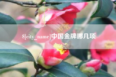 长治中国金牌哪几项