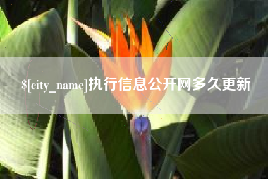 长治执行信息公开网多久更新