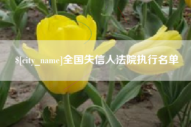 长治全国失信人法院执行名单