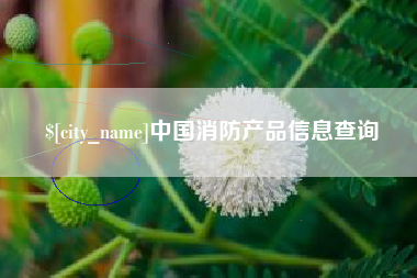 长治中国消防产品信息查询