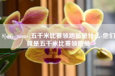 长治五千米比赛领跑员是什么-他们就是五千米比赛领跑员