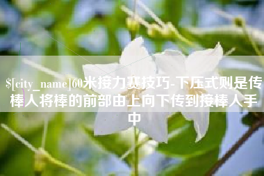 长治60米接力赛技巧-下压式则是传棒人将棒的前部由上向下传到接棒人手中