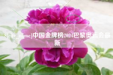 长治中国金牌榜2024巴黎奥运会最新