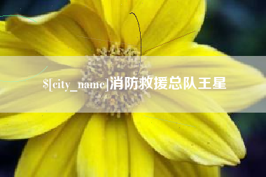 长治消防救援总队王星