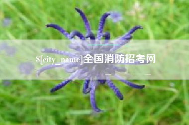 长治全国消防招考网