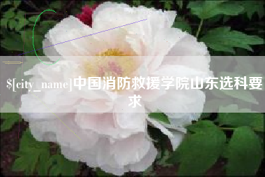 长治中国消防救援学院山东选科要求