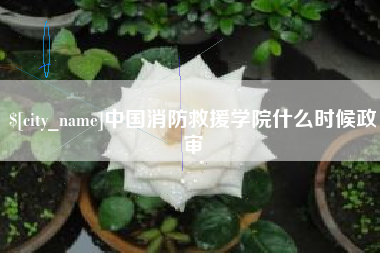 长治中国消防救援学院什么时候政审