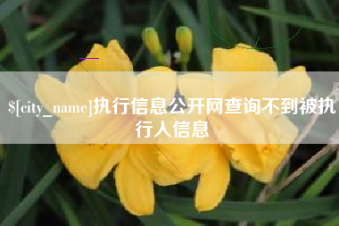 长治执行信息公开网查询不到被执行人信息