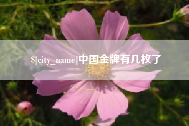 长治中国金牌有几枚了