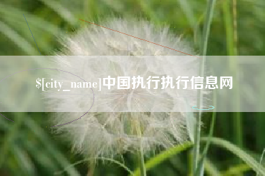 长治中国执行执行信息网