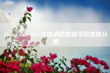 长治2021中国消防救援学院录取分数