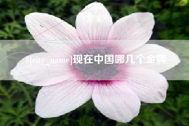长治现在中国哪几个金牌