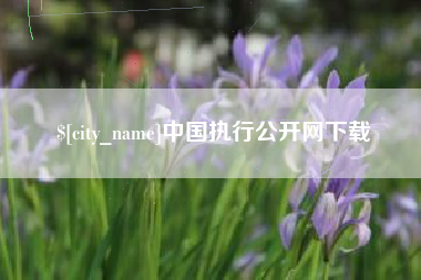 长治中国执行公开网下载