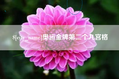 长治奥运金牌第二个九宫格