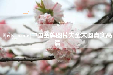 长治中国金牌图片大全大图真实高清