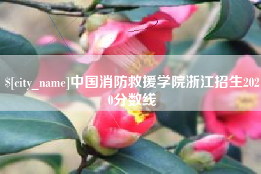 长治中国消防救援学院浙江招生2020分数线