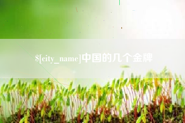 长治中国的几个金牌