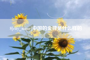 长治中国的金牌是什么样的