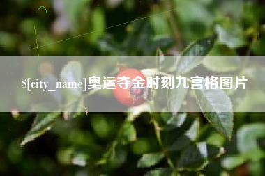 长治奥运夺金时刻九宫格图片