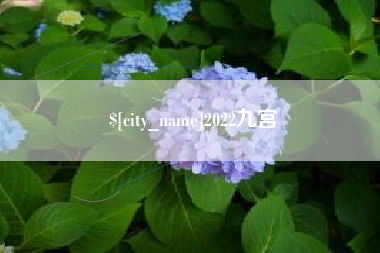 长治2022九宫