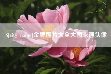 长治金牌图片大全大图卡通头像