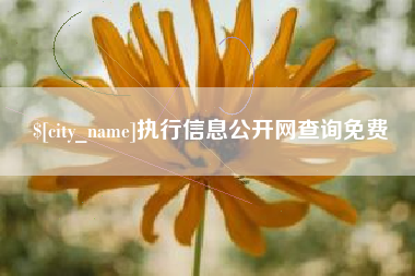 长治执行信息公开网查询免费
