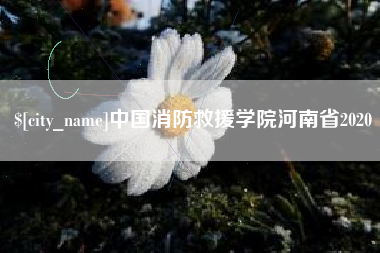 长治中国消防救援学院河南省2020